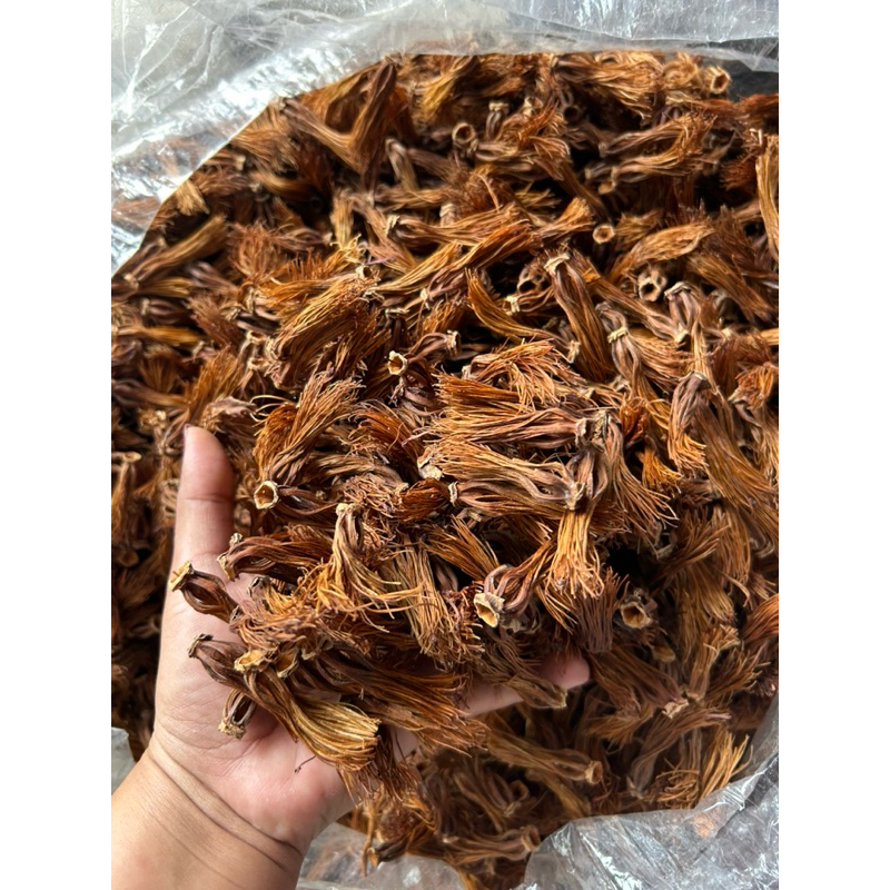 ดอกงิ้วแห้ง ดอกงิ้วใส่ขนมจีนน้ำเงี้ยว ดอกเงี้ยว ตากแห้ง ดอกใหม่ปีนี้ ไม่เหม็น เพิ่มรสชาติให้น้ำเงี้ยวสมบูรณ์ ออร์แกนิค - รูปที่ 3