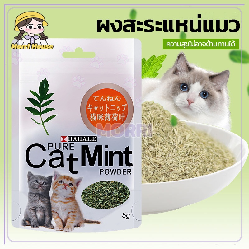 ผงแคทนิป 5g กัญชาแมวกัญชาแมว กัญชาแมว ช่วยขับถ่ายขน Cat Mint เมื่อน้องแมวได้กลิ่นจะรู้สึกผ่อนคลาย