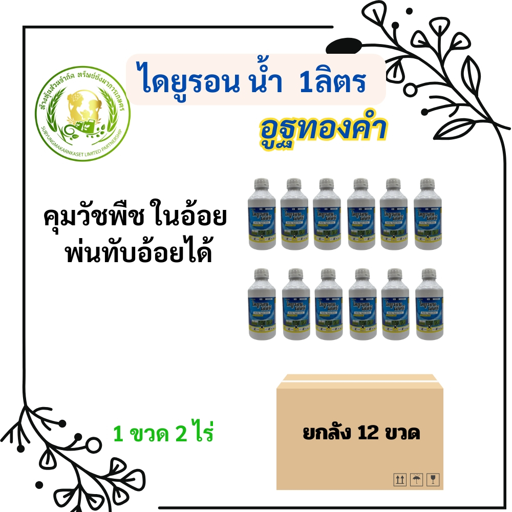 ยกลัง 12 ขวด ไดยูรอน น้ำ อูฐทองคำ 1 ลิตร คุมวัชพืช อ้อย กำจัดวัชพืชใบแคบและใบกว้าง ใน อ้อย มัน สับปะรด