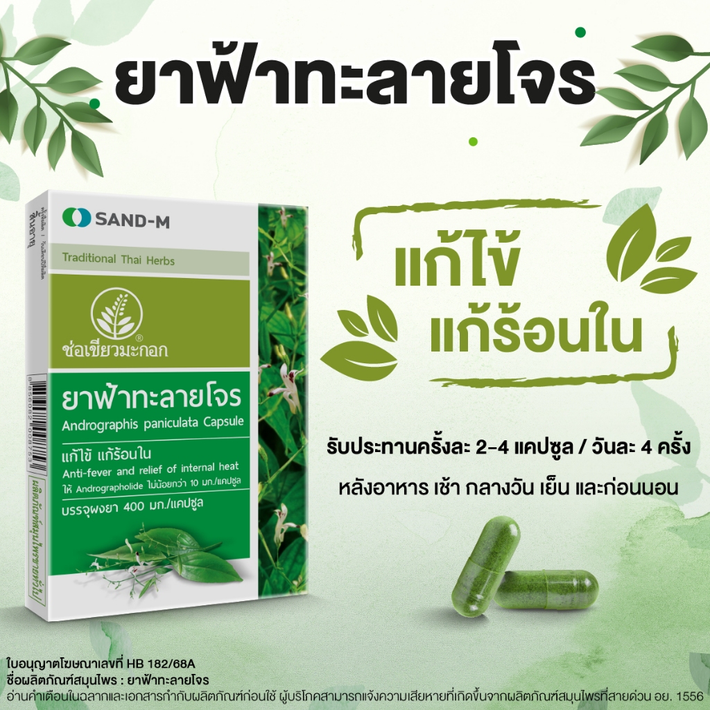 ยาฟ้าทะลายโจร Andrographis paniculata Capsule ชนิดแคปซูล - รูปที่ 2
