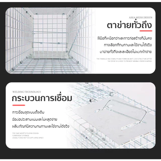 🐱กรงดักแมว วัสดุเหล็กเส้น พับได้ กันสนิม ความไวสูง(ไซส์ M-2XL)ไม่ทําร้ายแมว เหมาะสำหรับจับตัวเงินตัวทอง แมว สุนัข