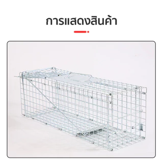 🐱กรงดักแมว วัสดุเหล็กเส้น พับได้ กันสนิม ความไวสูง(ไซส์ M-2XL)ไม่ทําร้ายแมว เหมาะสำหรับจับตัวเงินตัวทอง แมว สุนัข