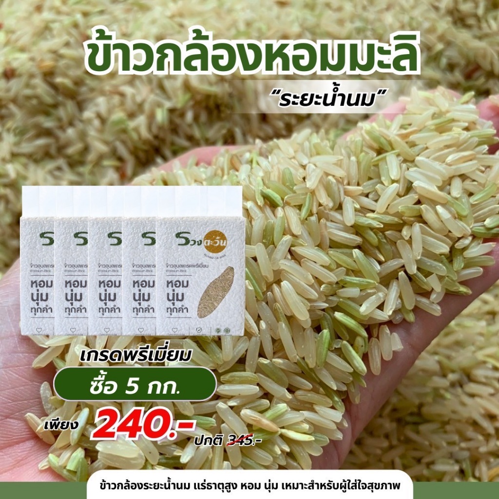 ข้าวกล้องหอมมะลิ (ระยะน้ำนม) #ข้าวไหม่ปี69# ขนาด 5 กิโล หอม นุ่ม อร่อย ประโยชน์สูงกว่าข้าวกล้องทั่วไป