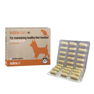 Nutramarin+ For Maintaining Healthy Liver Function ดูแลโรคตับ สำหรับสุนัขและแมว 30แคปซูล เลขทะเบียนอาหารสัตว์ 0208670070