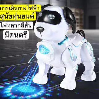 ของเล่นเด็ก ไดโนเสาร์ เดินได้ มีเสียง มีไฟ ของเล่น จูงได้ ของขวัญสำหรับเด็ก