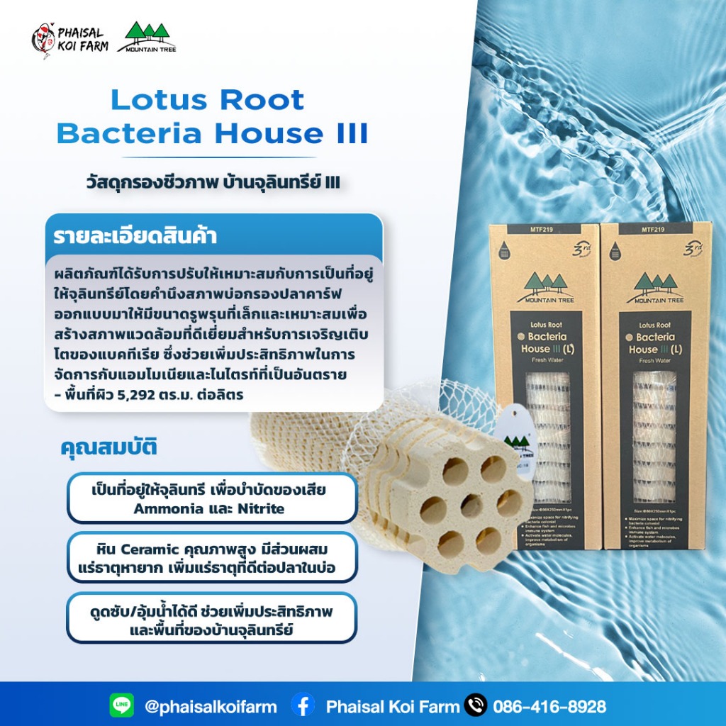 📍ยกลัง | 12 ชิ้น📍Lotus Root Bacteria House III วัสดุกรองชีวภาพ บ้านจุลินทรีย์ III SIZE L