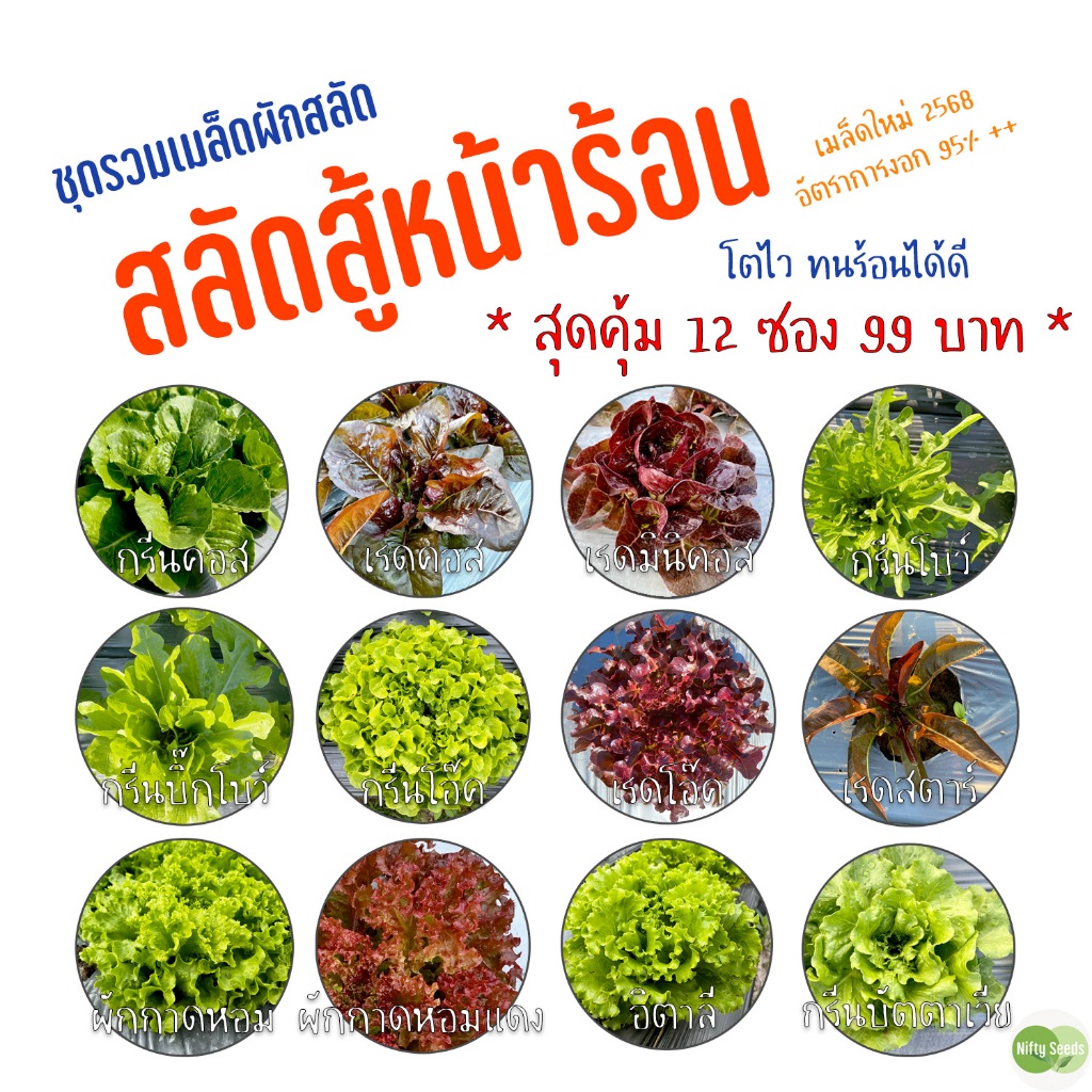 ชุดรวมเมล็ดสลัดสุดคุ้ม 12 ซอง 99 บาท ชุดสู้หน้าร้อน เมล็ดใหม่ปี 2568 เมล็ดพันธุ์ผัก ผักออแกนิค
