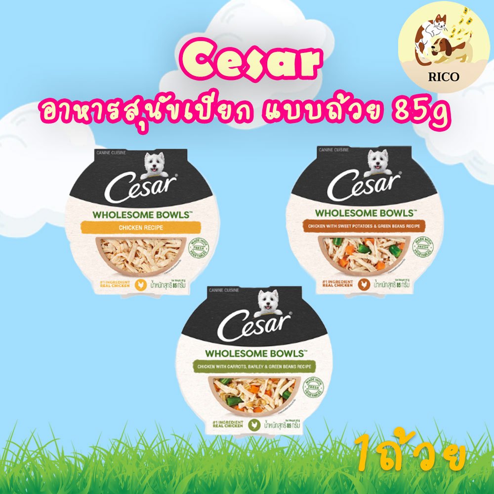 (ถ้วย) Cesar Wholesome Bowls ซาร์ โฮมซัม โบวล์ อาหารสุนัขเปียก แบบถ้วย 85g 👀 ซื้อสินค้าไม่ถึง 100บาท