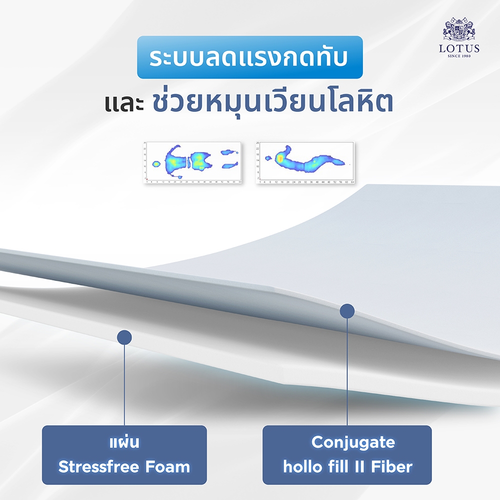 [ฟรี!ชุดผ้าปู] LOTUS