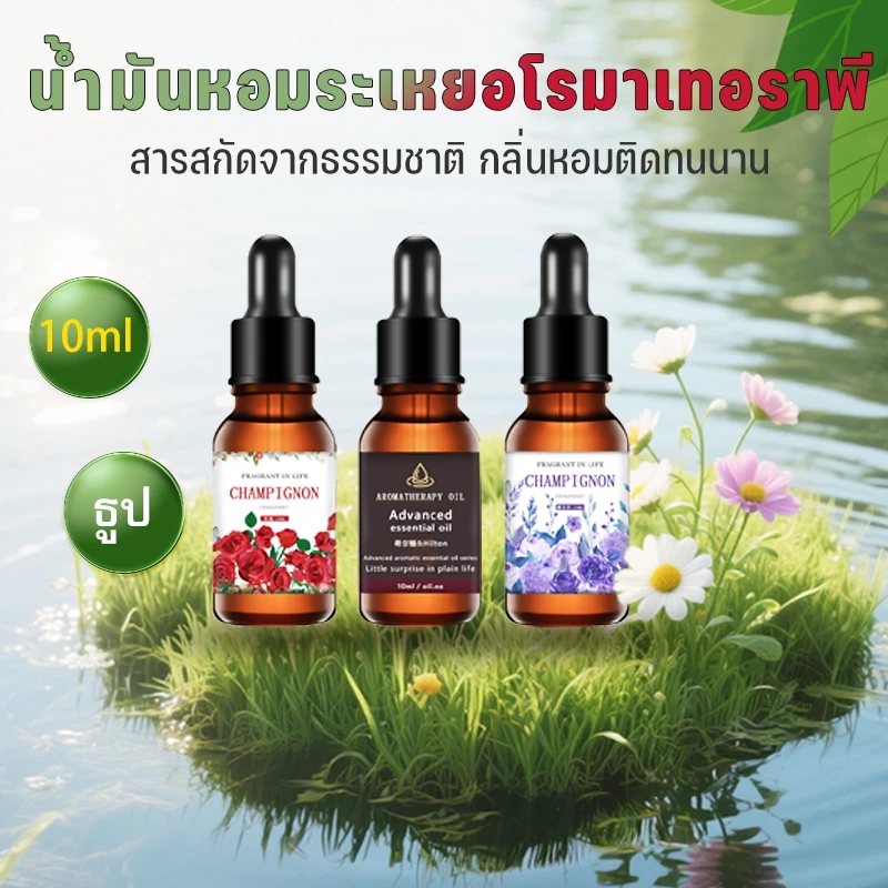 น้ำมันหอมระเหย น้ำมันอโรม่าหอมระเหย 10ml 3 กลิ่น น้ำมันอโรม่าหอม กลิ่นธรรมชาติ น้ำมันอโรมา สำหรับเครื่องเพิ่มความชื้น