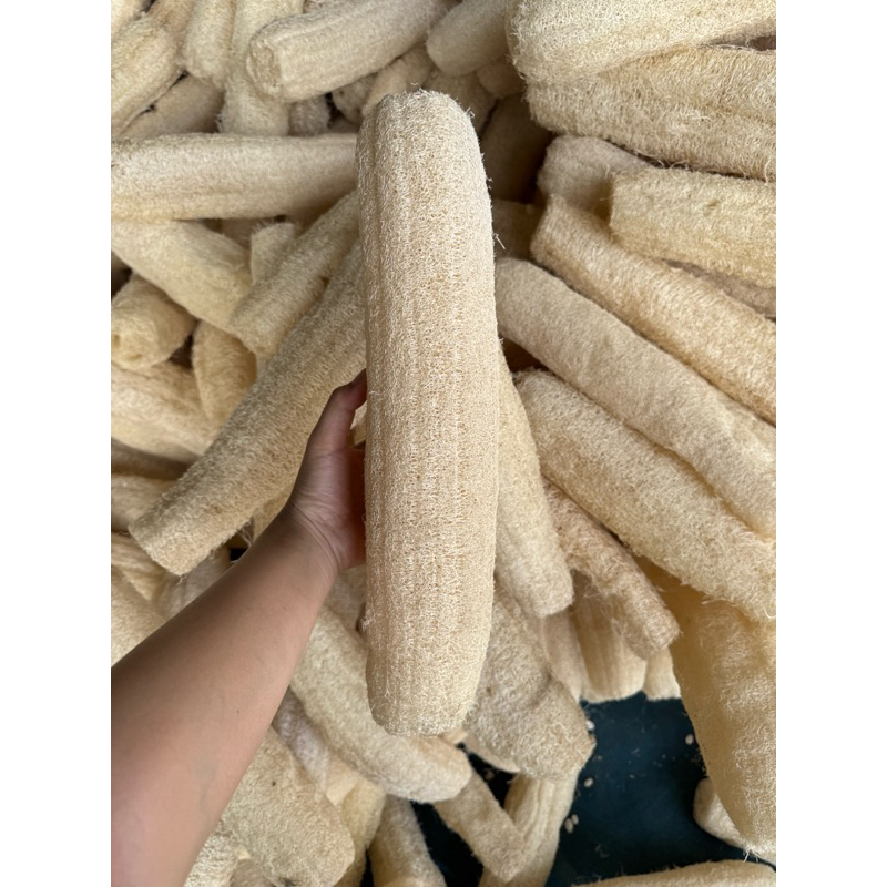 ใยบวบ 9-12 นิ้ว ใยบวบธรรมชาติ ไม่ฟอกสี ใยหนาแน่น ใช้งานได้นาน