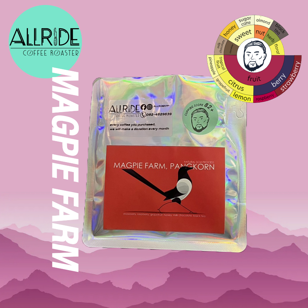 เมล็ดกาแฟคั่ว Magpie Farm โดย สุนทร มิ่งสิริเจริญ (Natural SCM) คั่วอ่อน | ALLRIDE - coffee roaster