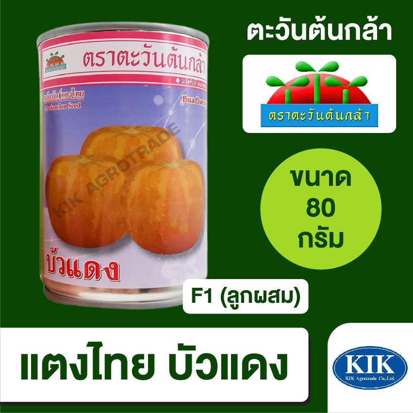 เมล็ดพันธุ์ ตะวันต้นกล้า แตงไทยลูกกลม บัวแดง ABS BIG (กระป๋อง) ขนาด 80 กรัม