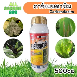 คาร์เบนดาซิม ยาเชื้อรา ป้องกันโรคพืช แอนแทรคโนส ใบจุด ดอกเน่า ใช้ได้กับพืชหลายชนิด สูตรเข้มข้น ปลอดภัยต่อพืช