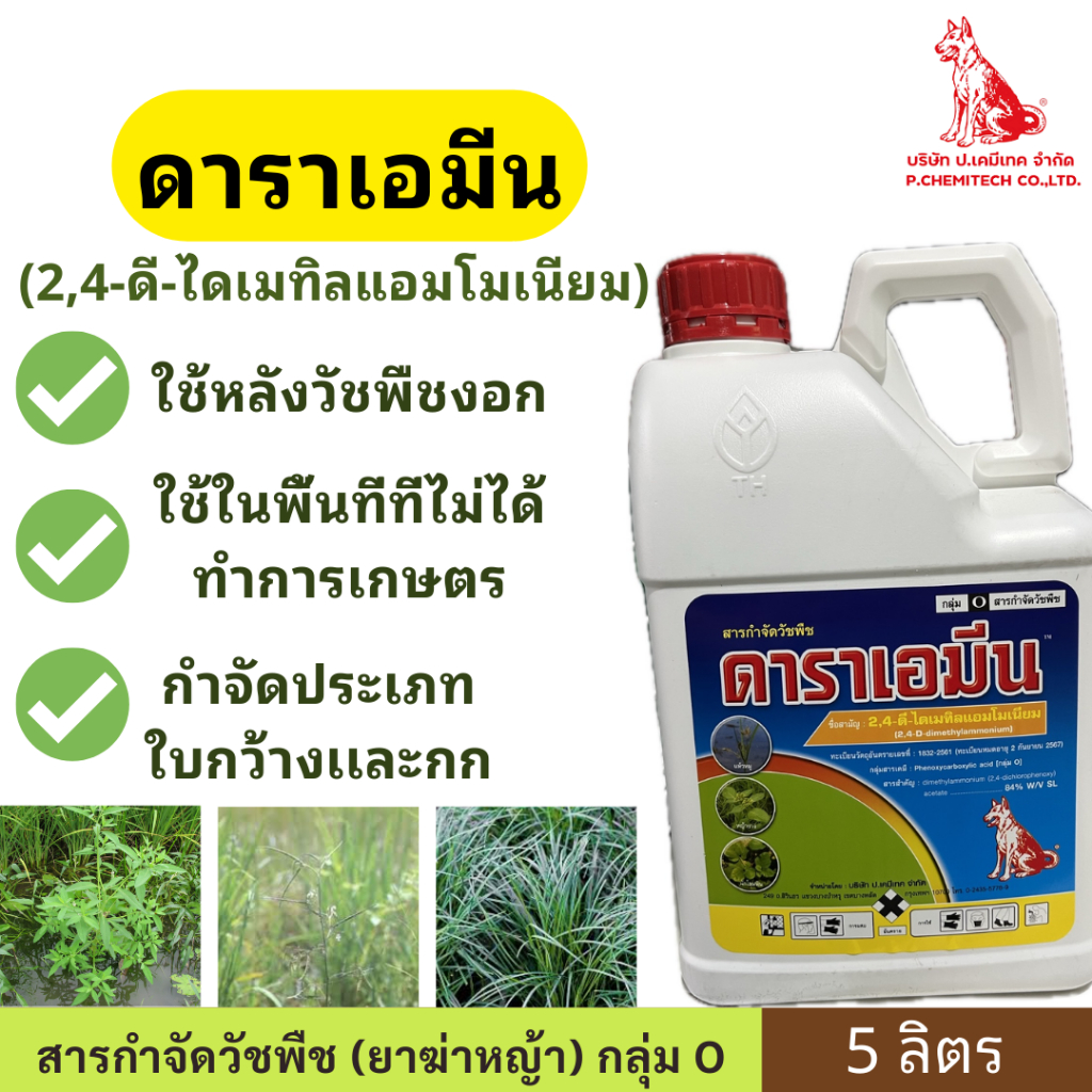 ดาราเอมีน ( 2,4-ดี-ไดเมทิลแอมโมเนียม ) ขนาด 5 ลิตร ตราหมาเเดงใช้หลังวัชพืชงอก ในพื้นที่ที่ไม่ได้ทำการเกษตร