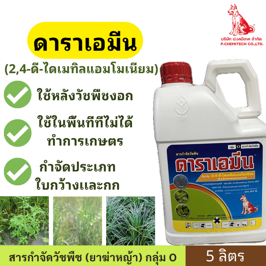 ดาราเอมีน ( 2,4-ดี-ไดเมทิลแอมโมเนียม ) ขนาด 5 ลิตร ตราหมาเเดงใช้หลังวัชพืชงอก ในพื้นที่ที่ไม่ได้ทำการเกษตร