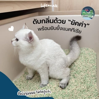 (20ลิตร) ทรายแมวเต้าหู้ Lifemate ยับยั้งการเติบโตแบคทีเรีย ทิ้งลงชักโครกได้ สามารถสลายได้ตามธรรมชาติ