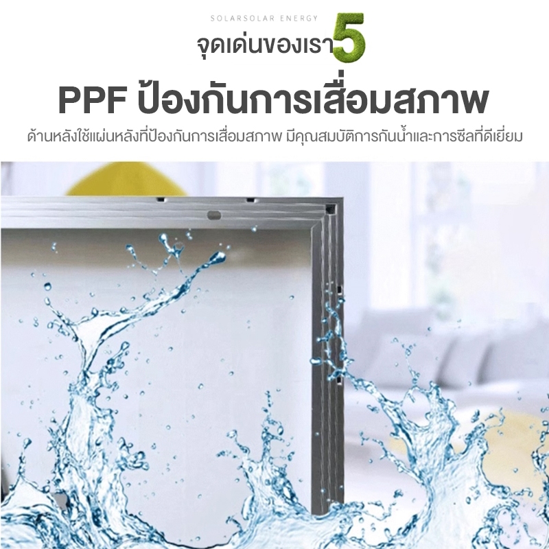 รูปภาพ 7