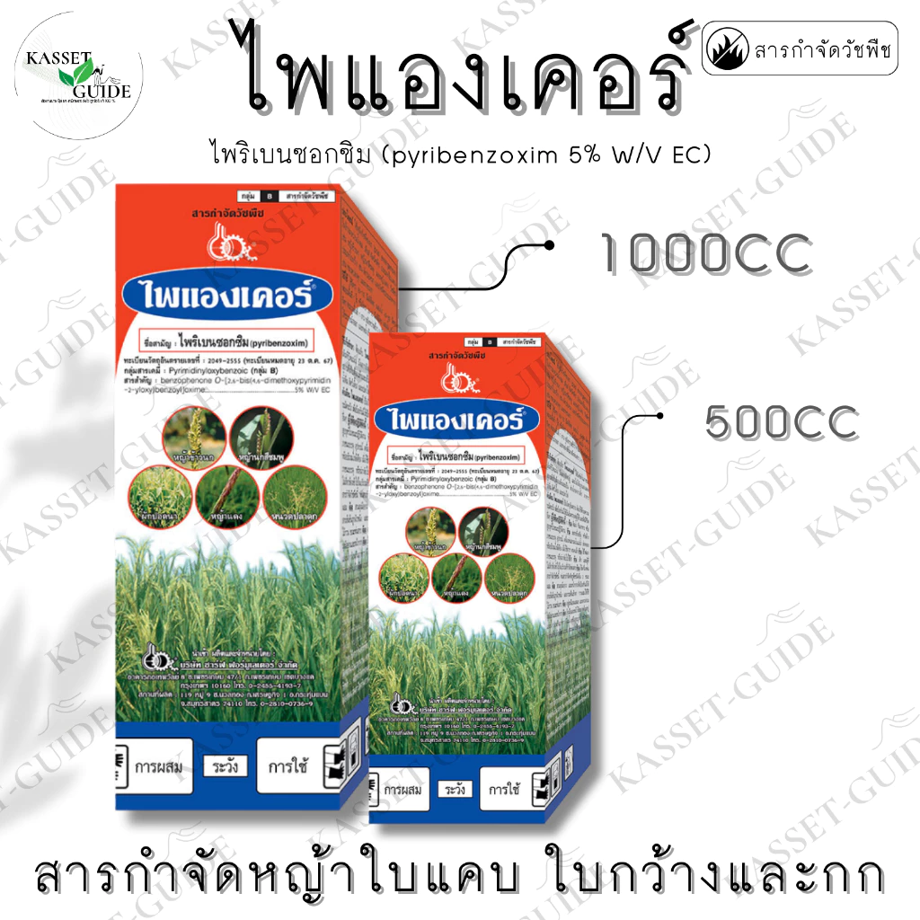ไพแองเคอร์ (ไพริเบนซอกซิม) ยาเก็บหญ้าข้าวนก หญ้าดอกขาว กก พริกไทย หนวดปลาดุก ผักปอดนา หญ้าแดง