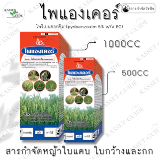 ไพแองเคอร์ (ไพริเบนซอกซิม) ยาเก็บหญ้าข้าวนก หญ้าดอกขาว กก พริกไทย หนวดปลาดุก ผักปอดนา หญ้าแดง