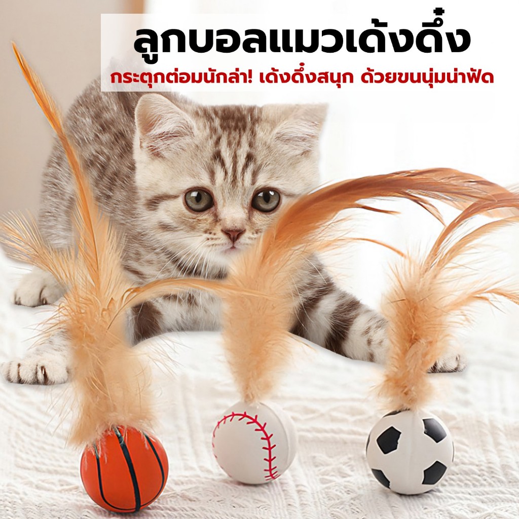 [COD] ลูกบอลแมว เด้งดึ๋ง ของเล่นแมว เด้งดึ๋งทีนึง เหมียววิ่งไม่หยุด! พร้อมส่งจากไทย