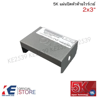 5K แผ่นปิดหัวท้าย ไวร์เวย์ 2x3" 2x4" 4x4" 4x6" 4x8" หนา 0.6 มิล แผ่นปิดท้าย วายเว รางไวร์เวย์ by KJL