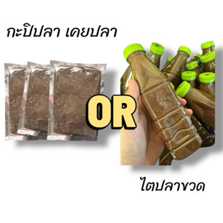 ไตปลา กะปิปลา-เคยปลา และ พริกแกง สำหรับทำแกงไตปลา 💥ผลิตแบบวิ…