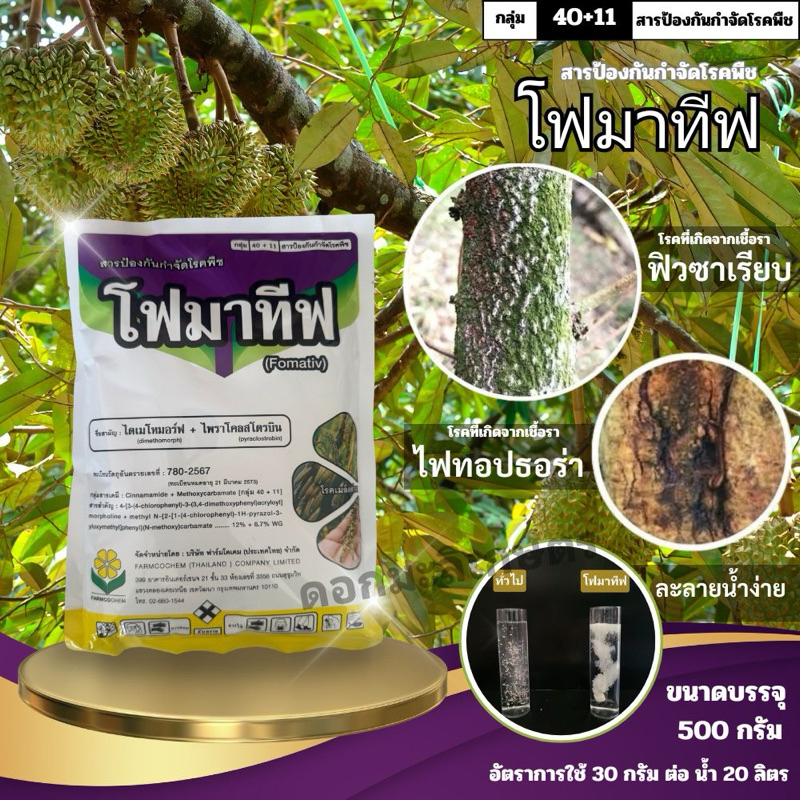 โฟมาทีฟ  ไดเมโทมอร์ฟ+ไพราโคลสโตรบิน WG ขนาด500กรัม
