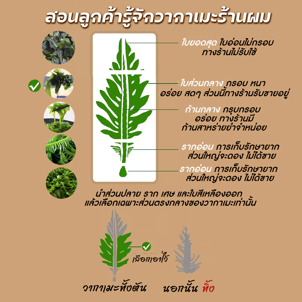 สาหร่ายวากาเมะอบแห้ง 1kg thumbnail 3