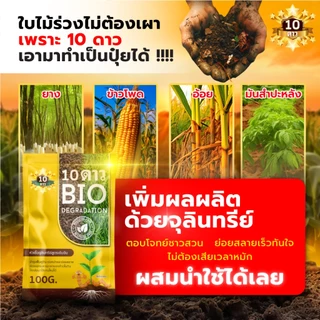 10 ดาว BIO หัวเชื้อจุลินทรีย์ สูตรเข้มข้น ย่อยสลายฟาง ข้าวดีด ข้าวเด้ง ขนาด 100 กรัม 5 ซอง
