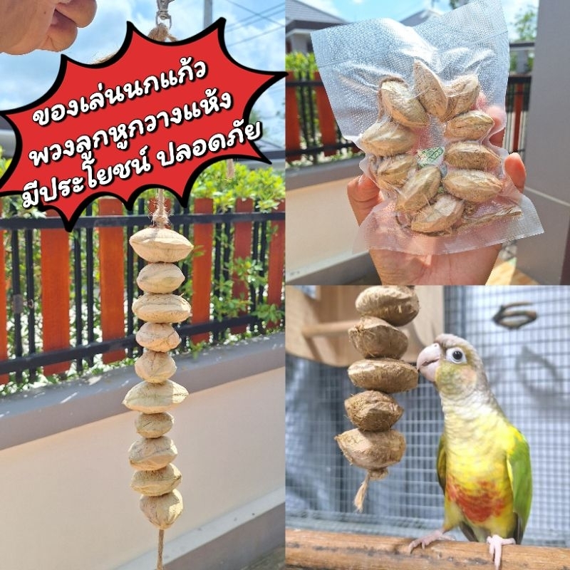 ของเล่นนก พวงลูกหูกวางแห้ง มีประโยชน์ ปลอดภัย แทะเล่นสนุก ลดอาการนกเสียงดัง