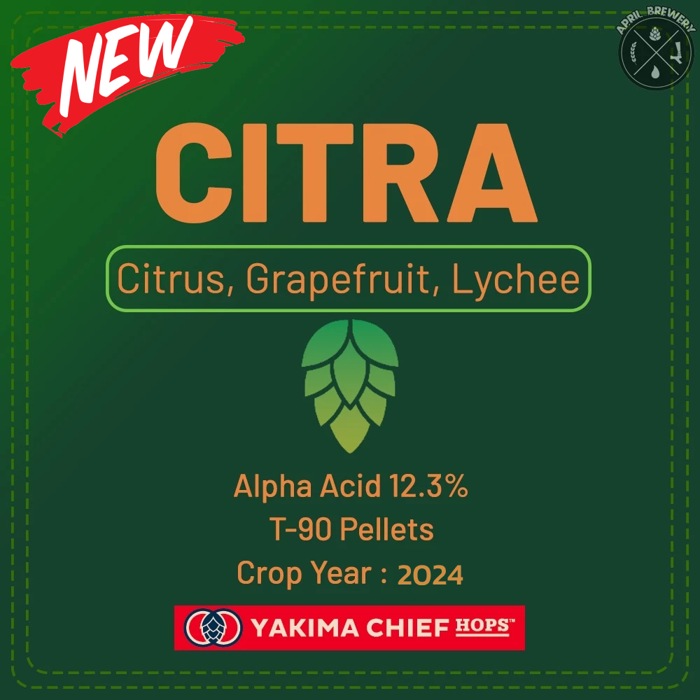 Citra Hops Pellets ฮอปส์ เพลลิท ทำเบียร์​ Pale Ale, IPA และอื่นๆ Homebrew Crop 2024 1oz [ Yakima Chief Hops ]