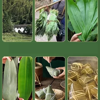 ใบไผ่ 粽子叶 ใบใหญ่ทั้งหมด 1kg+เชือก（100 เส้น）การจัดส่งที่รวดเร็ว รสชาติธรรมชาติ สินค้าใหม่ Zongzi leaf