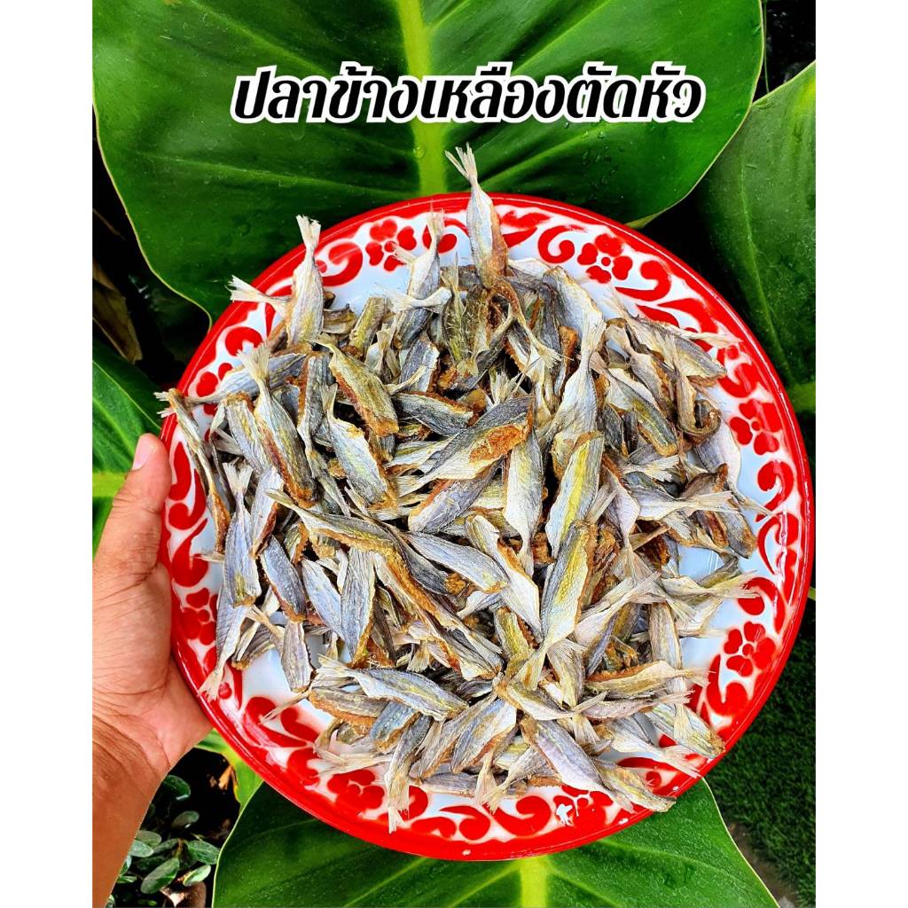 ปลาข้างเหลืองตัดหัวเค็ม หรือปลาเค็มตัวเล็ก น้ำหนัก 500กรัม และ 1000กรัม แพ็คถุงอย่างดี ทำจากปลาข้างเหลือง สดใหม่ ทุกวัน