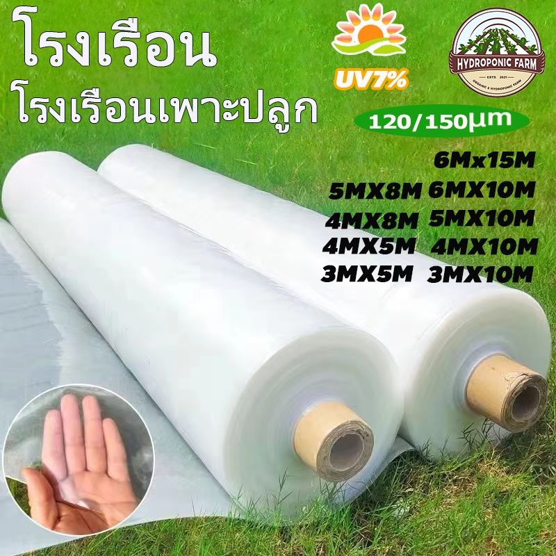 พลาสติกคลุมโรงเรือน พลาสติกใส พลาสติกโรงเรือน ฟิล์มPE กันฝน หนา 150 ไมครอน UV7% โรงเรือนแคคตัส พลาสติกปูบ่อ กันสาด