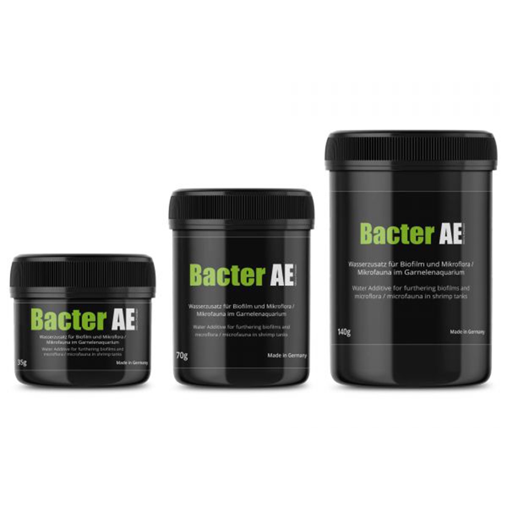 GlasGarten Bacter AE สร้างไบโอ​ฟิล์ม Biogreen biofilm ผนังเขียว แบคทีเรีย กุ้งแคระ กุ้งเรดบี กุ้งสุร