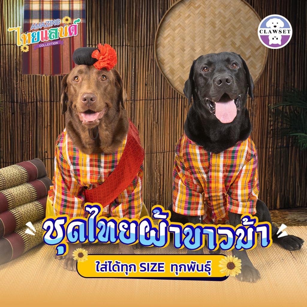 ชุดไทยผ้าขาวม้า Amazing Thailand Collection เสื้อผ้าสัตว์เลี้ยง | CLAWSET.BKK