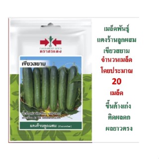 5 ฟรี 1 คละได้ทั้งร้าน เมล็ดพันธุ์ แตงร้าน เขียวสยาม ตราศรแด…