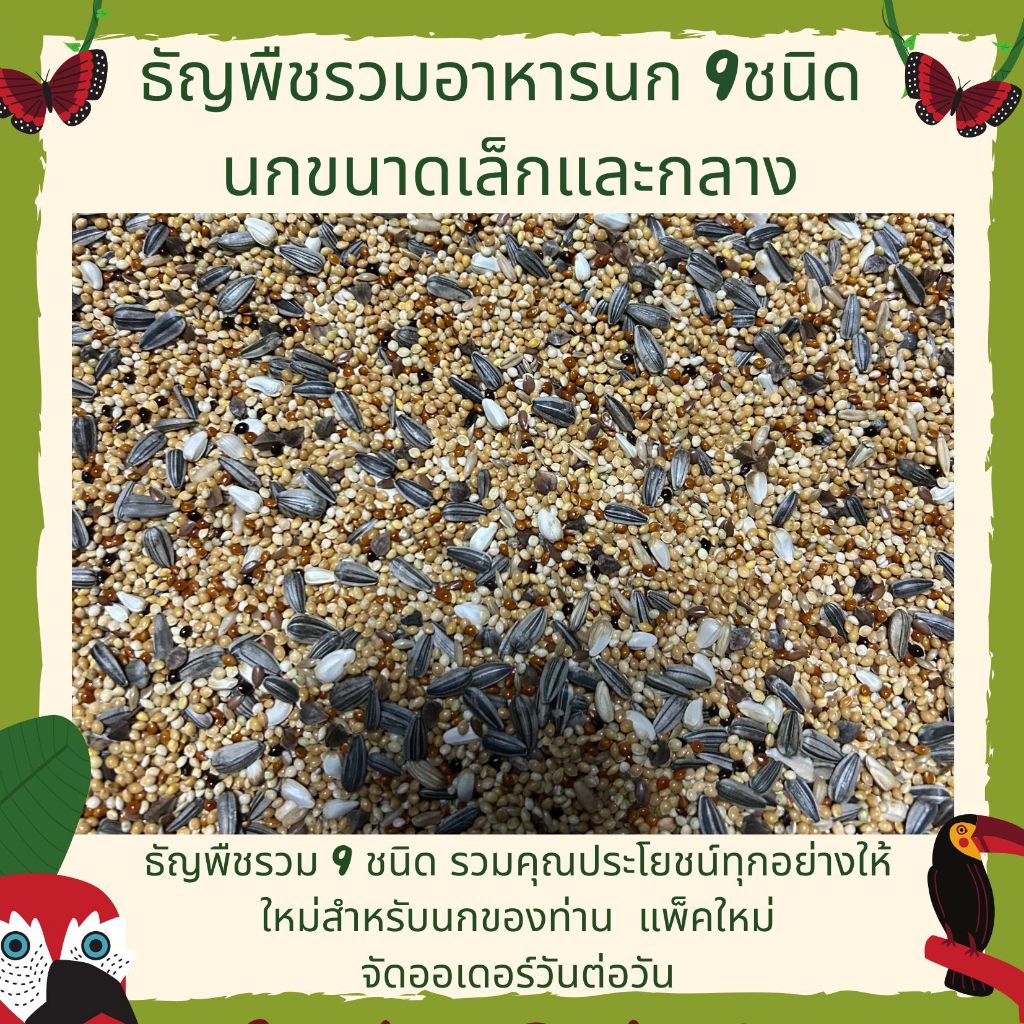 ธัญพืช 13ชนิด (แบ่งขาย 500 G. - 1 KG.) อาหารนก แก้วขนาดเล็ก-เลิฟเบิร์ด ค็อกเทล