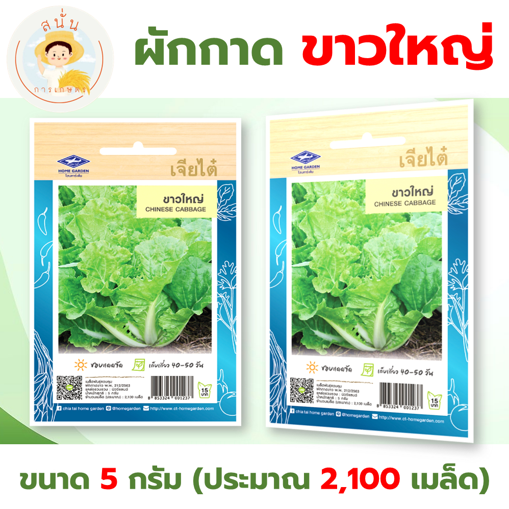 เมล็ดพันธุ์ ผักกาด ขาวใหญ่ (Chinese Cabbage) ผักซอง เจียไต๋ OP ขนาด 5 กรัม (ประมาณ 2,100 เมล็ด)