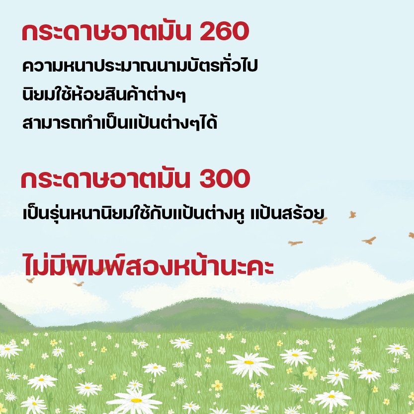 รูปภาพ 4