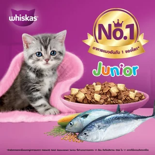 Whiskas วิสกัส อาหารเม็ดสูตรลูกแมวปลาทะเล แบบกระสอบ ขนาด 6.5 กิโลกรัม