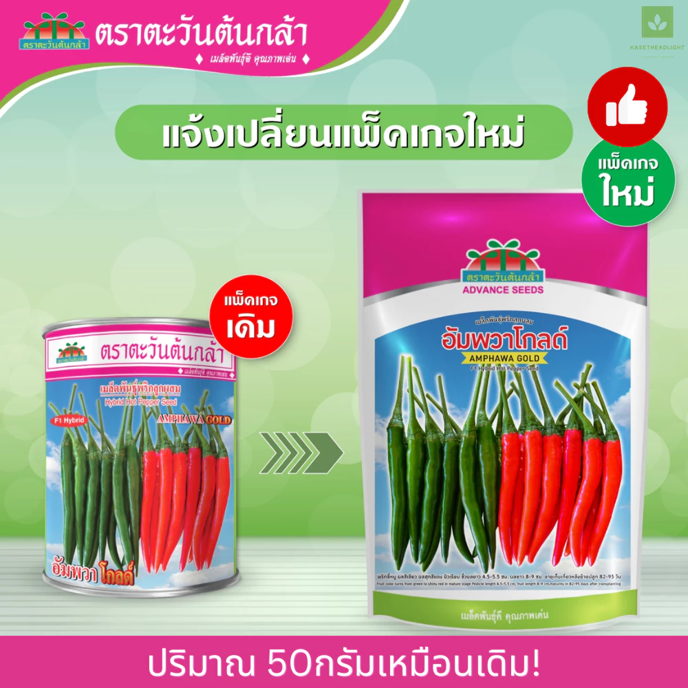 ใหม่! แบบซอง พริกอัมพวา โกลด์ พริกจินดา ลูกผสม 50กรัม เมล็ดพันธุ์พริก เมล็ดพริก พริกอัมพวา
