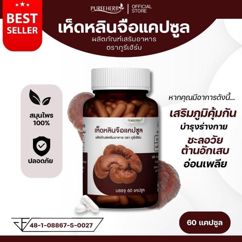 เห็ดหลินจือแคปซูล ตราภูรีเฮิร์บ 60 แคปซูล - บำรุงร่างกาย พักผ่อนน้อย (ส่งจากกรุงเทพ)