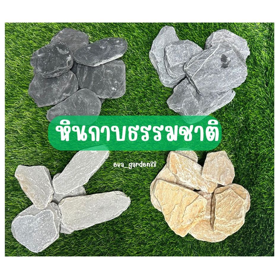 หินกาบ หินกาบธรรมชาติ  1กิโลกรัม หินสีธรรมชาติ