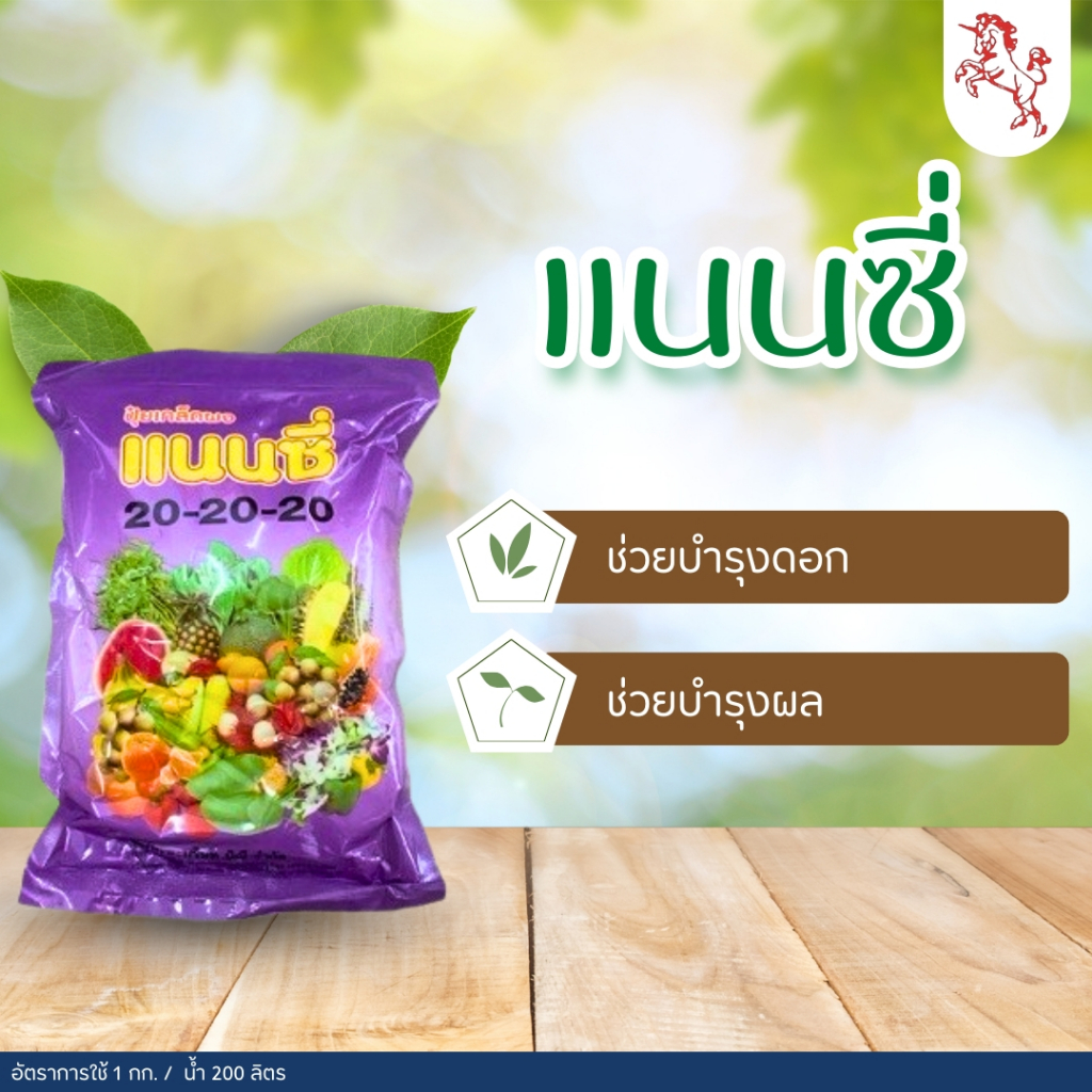 ปุ๋ยเกล็ดผง แนนซี่ 20-20-20