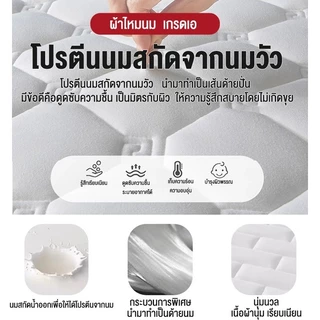 Goody ที่นอนน้ำยางธรรมชาติ ที่นอนหอพักขนาด 3/3.5/5/6ฟุต ที่นอนโฟมที่ยอดเยี่ยม Topper Mattress