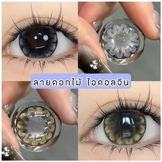 คอนแทคเลนส์ ราคา ส่ง ยกถาด 75 คู่ (สามารถเลือกลายเองได้) แถมตลับครบคู่