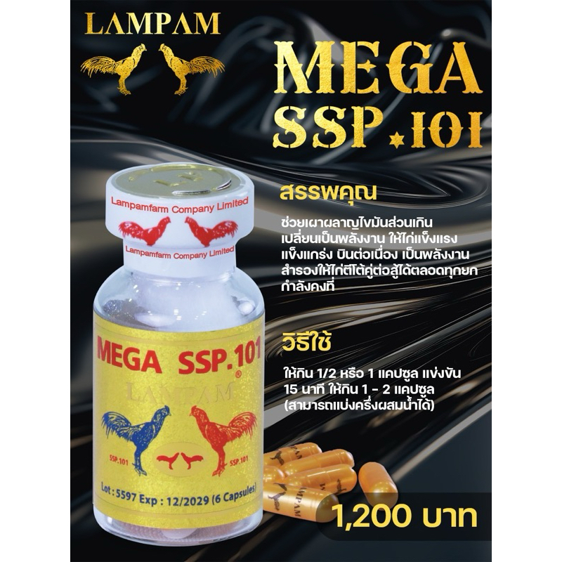 กระปุกลำปำสีทอง sเอสp 1o1 กระปุกเปล่าใส่โฟม
