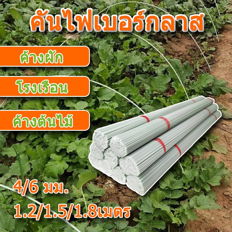 โรงเรือนปลูกพืช คันไฟเบอร์กลาส แพ็คละ 20ชิ้น โรงเรือน 4/6มม. 1.2/1.5/1.8เมตร เพาะปลูก หลักไม้เลื้อย